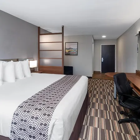 Microtel Inn & Suites By Wyndham Savannah/Pooler-2