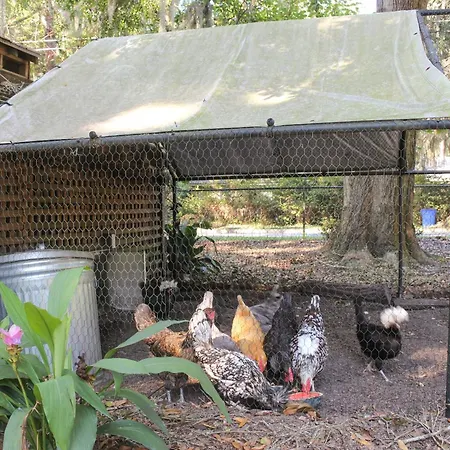 Savannah Cottage - 5 Mi To Wormsloe Historic Site!-3