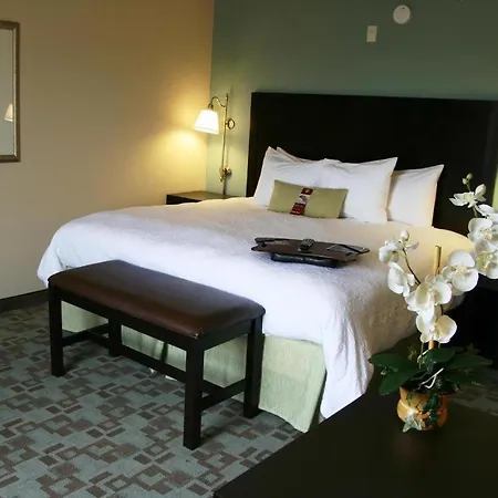 Hampton Inn & Suites Savannah-Airport-3