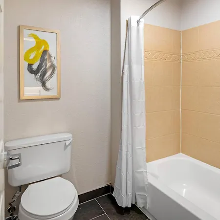 Comfort Inn & Suites Savannah Airport-2